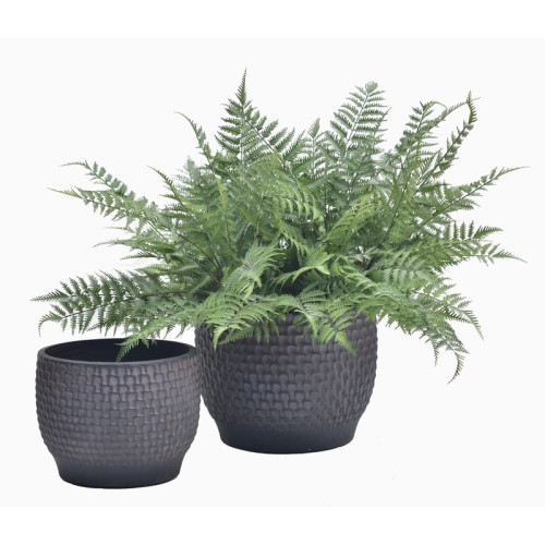 Dark Round Cement Planter | Nifloral