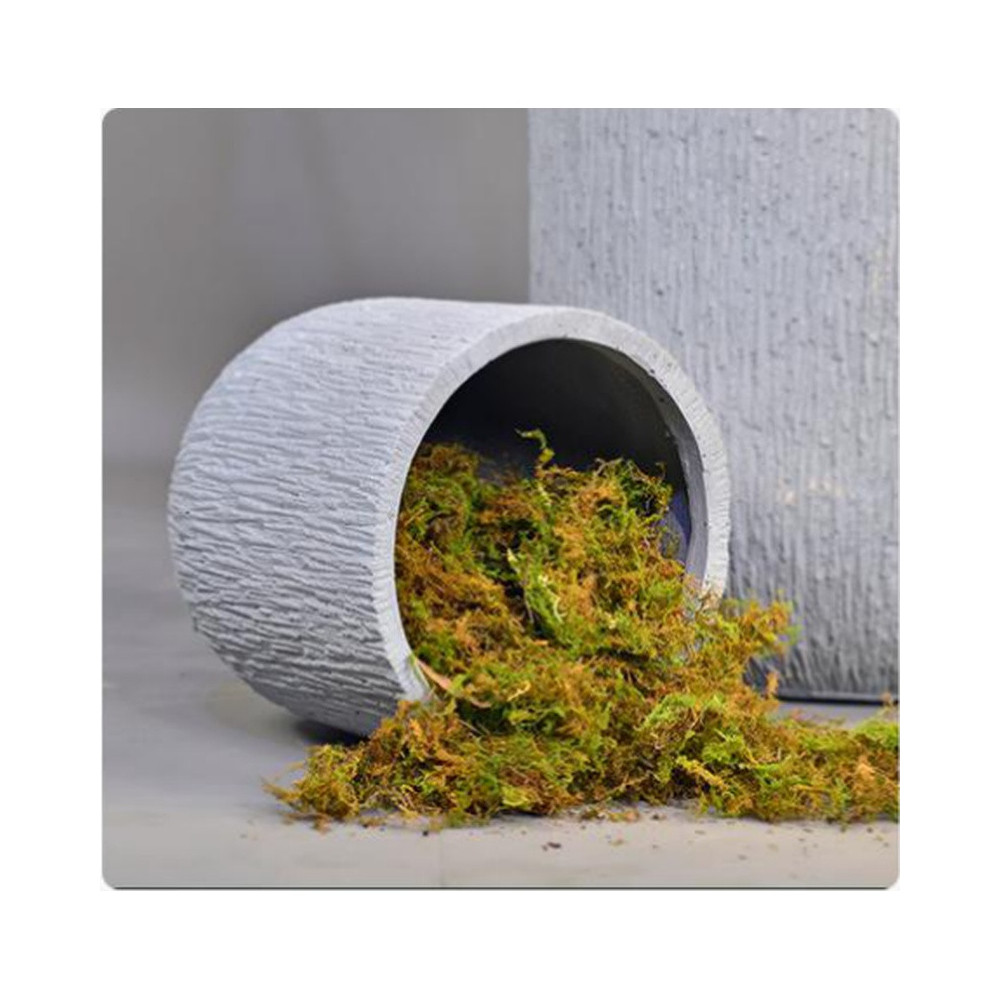 Tall Textured Round Cement Planter