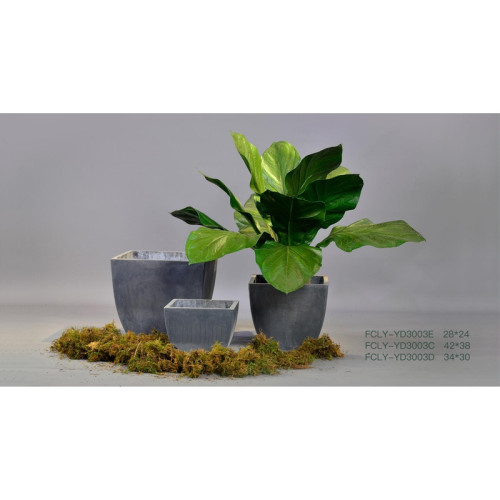 Square Cement Planter - FCLY-YD3003