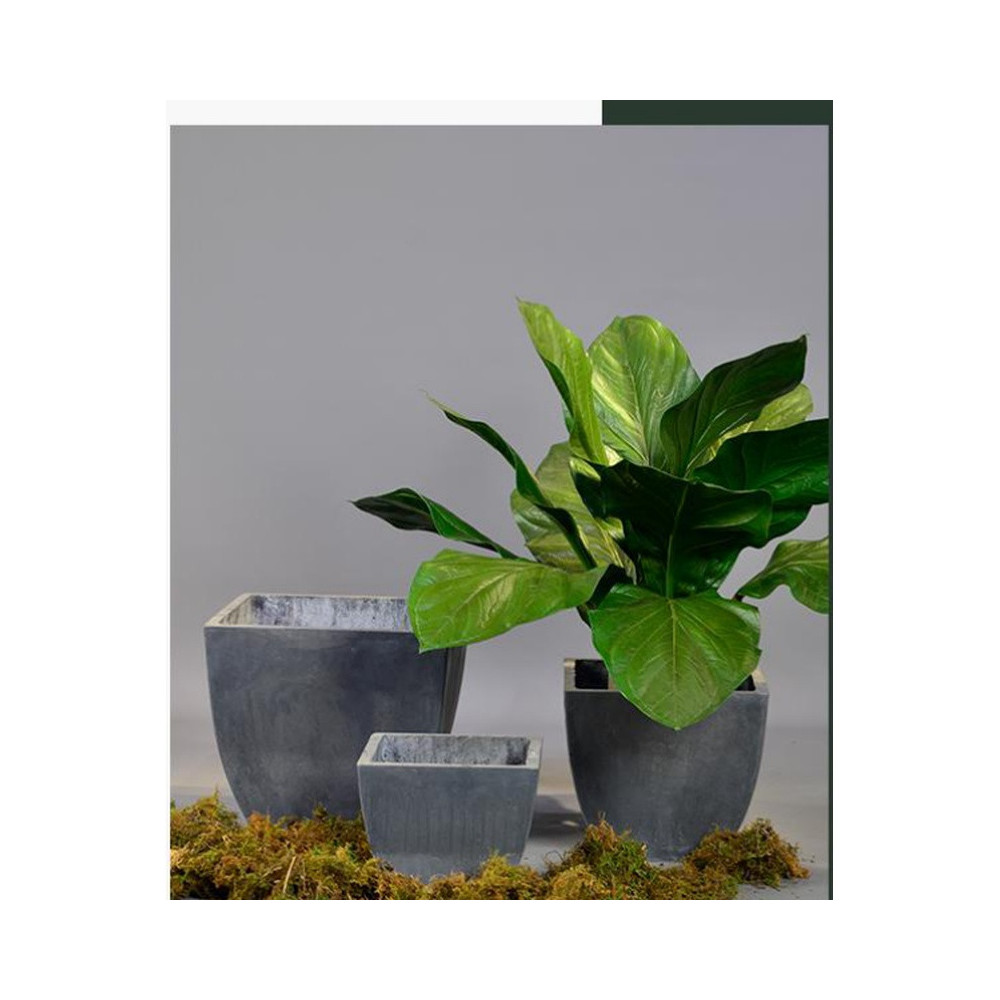 Square Cement Planter - FCLY-YD3003