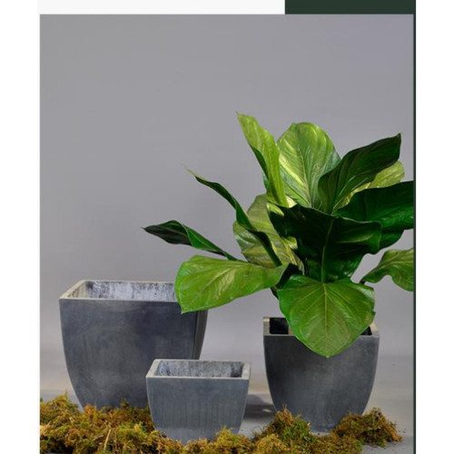 Square Cement Planter - FCLY-YD3003
