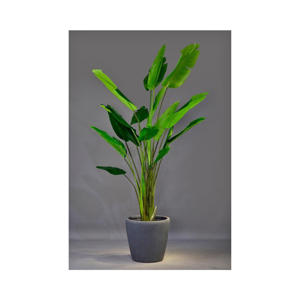 Tall Tapered Cement Planter - GA30-590A