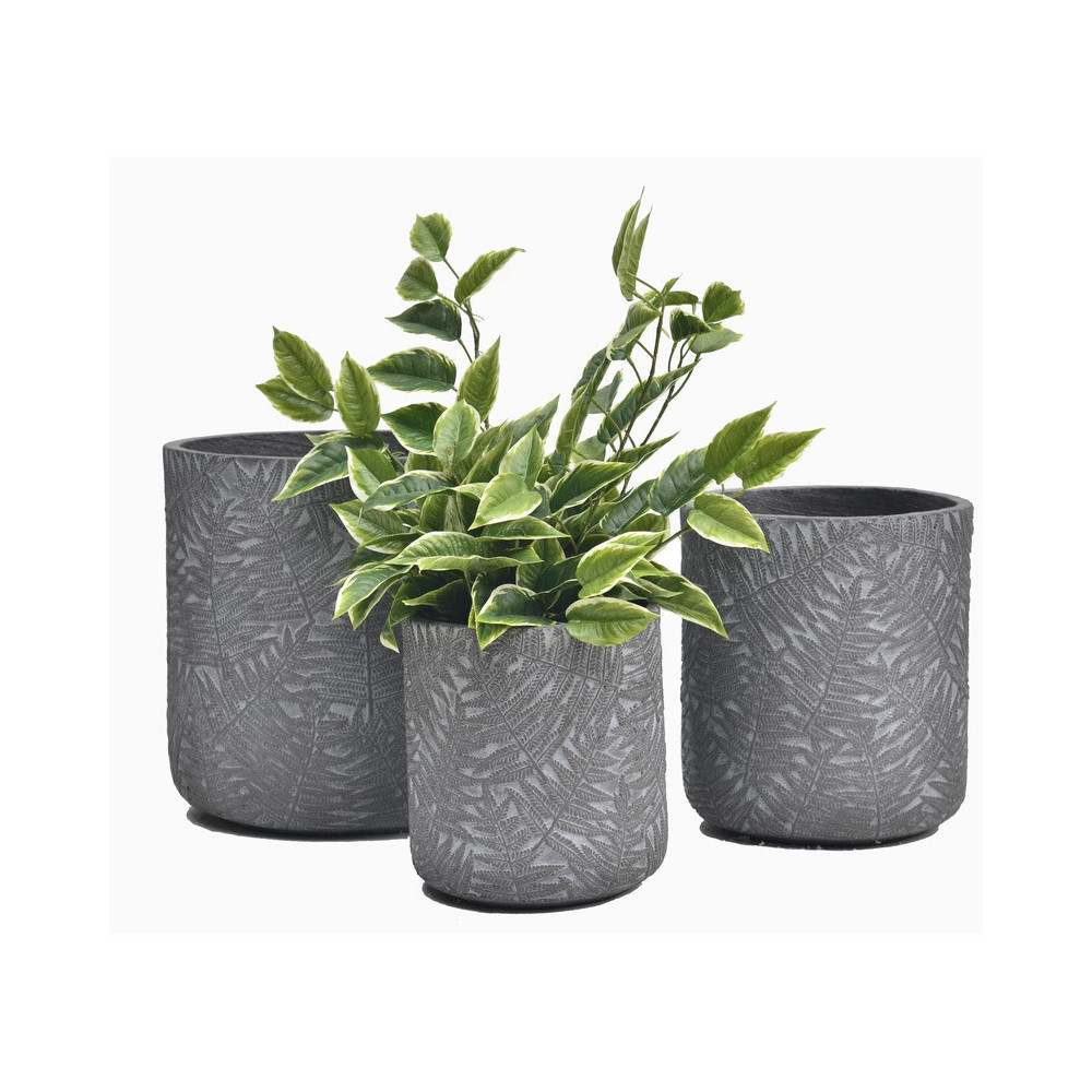 Textured Cylindrical Cement Planter | Nifloral