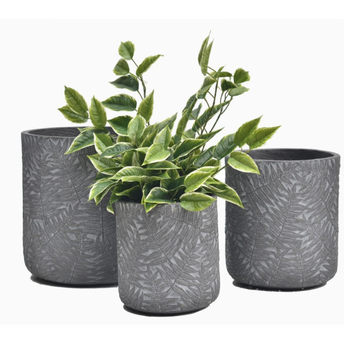 Textured Cylindrical Cement Planter | Nifloral