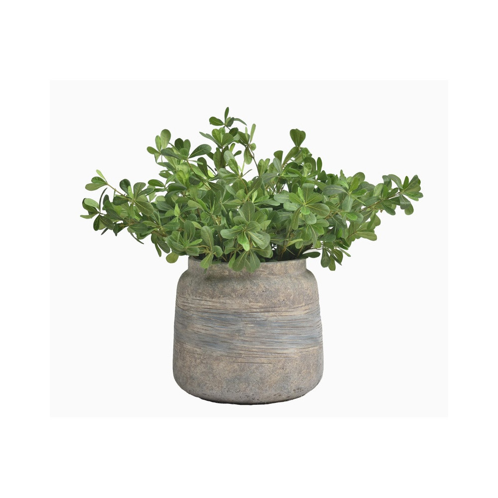 Tall Mixed-Form Cement Planter | Nifloral
