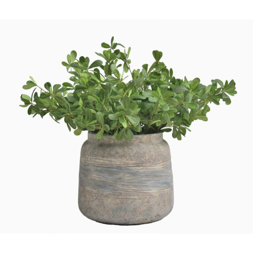 Tall Mixed-Form Cement Planter | Nifloral