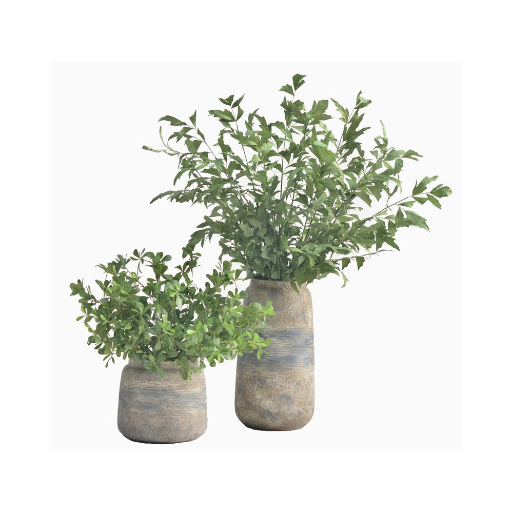 Tall Mixed-Form Cement Planter | Nifloral