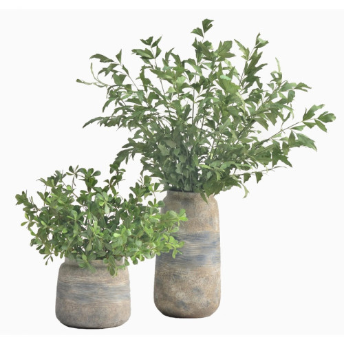 Tall Mixed-Form Cement Planter | Nifloral