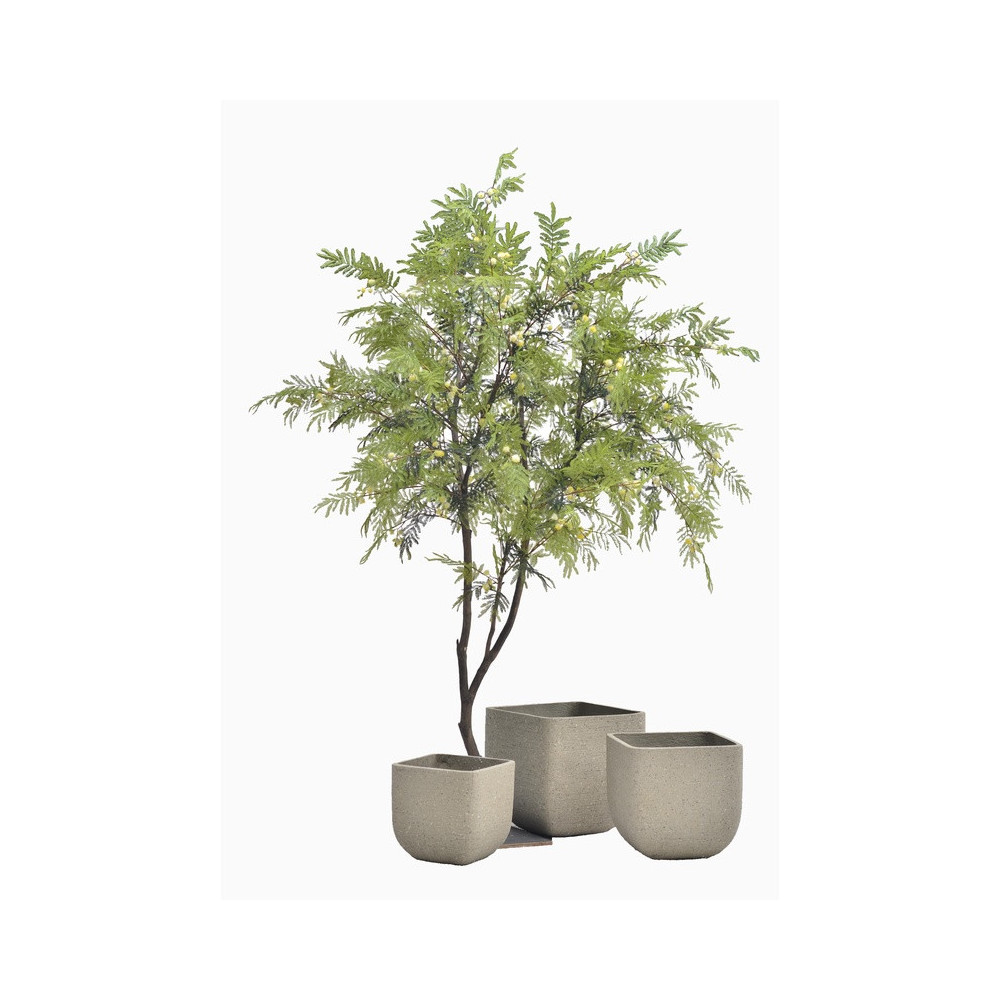 Geometric Cement Planter | Nifloral