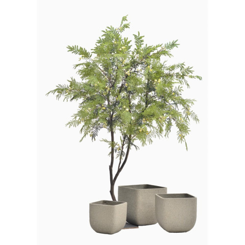 Geometric Cement Planter | Nifloral