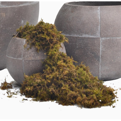 Rounded Cement Planter | Nifloral