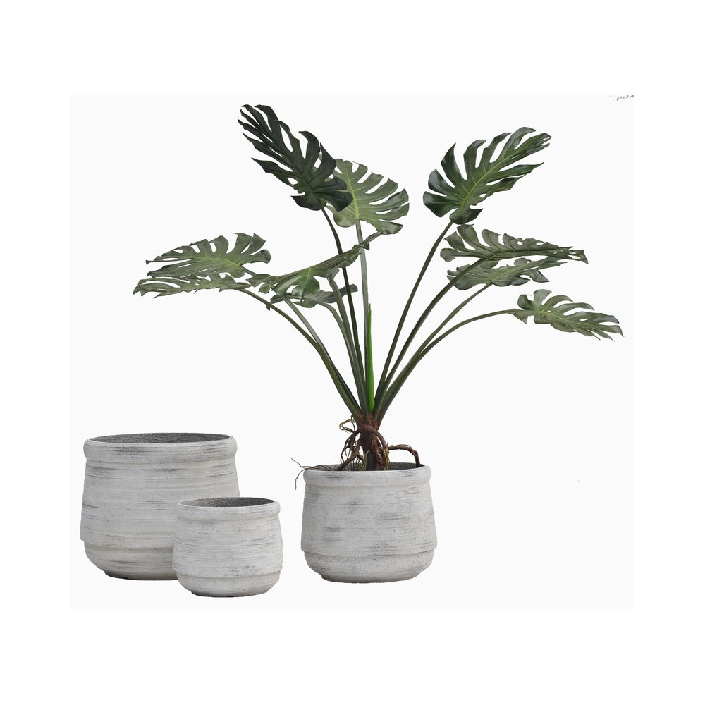 Rounded Rim Cement Planter | Nifloral