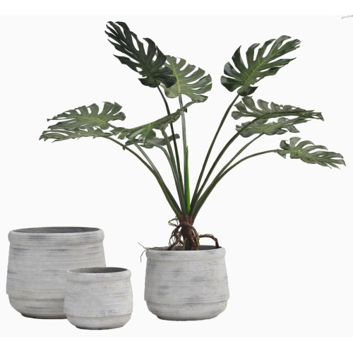 Rounded Rim Cement Planter | Nifloral