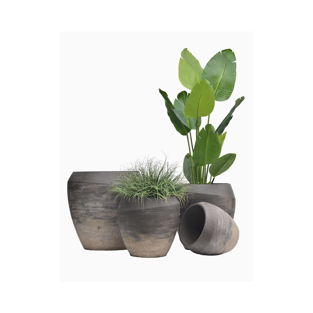 Low Rounded Cement Planter | Nifloral