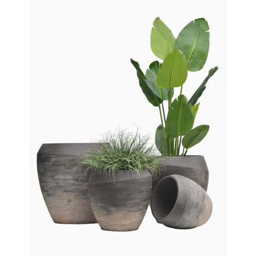 Low Rounded Cement Planter | Nifloral