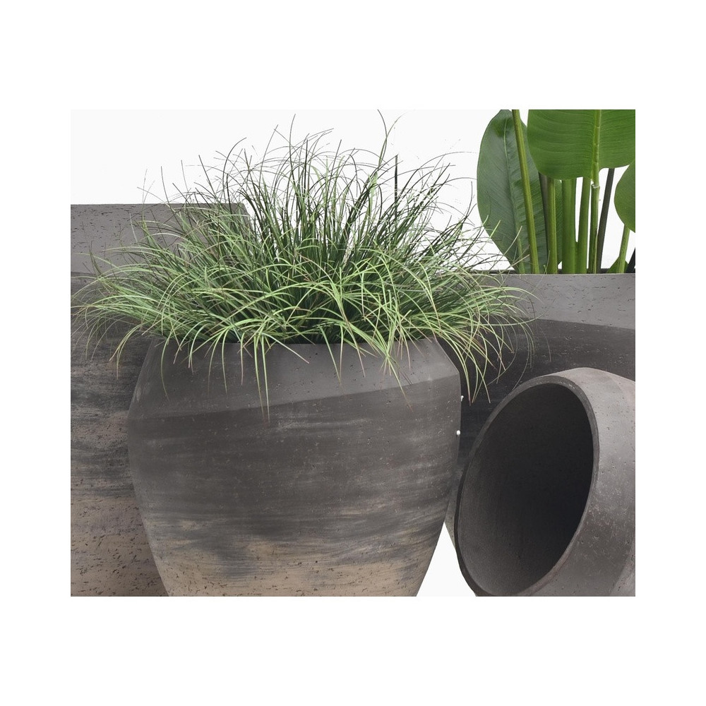 Low Rounded Cement Planter | Nifloral
