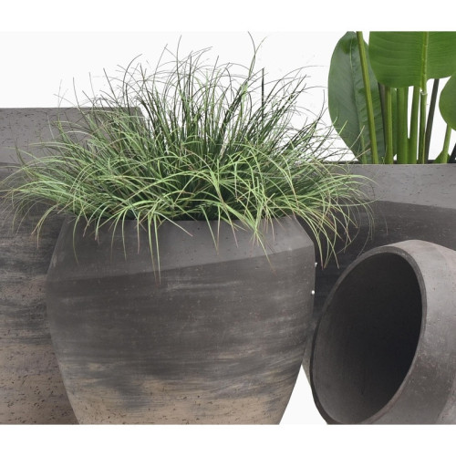 Low Rounded Cement Planter | Nifloral