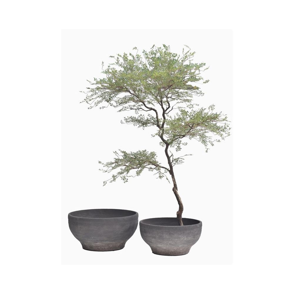 Wide Low Cement Planter | Nifloral