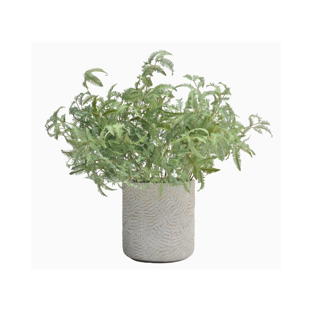 Smooth Cylindrical Cement Planter | Nifloral