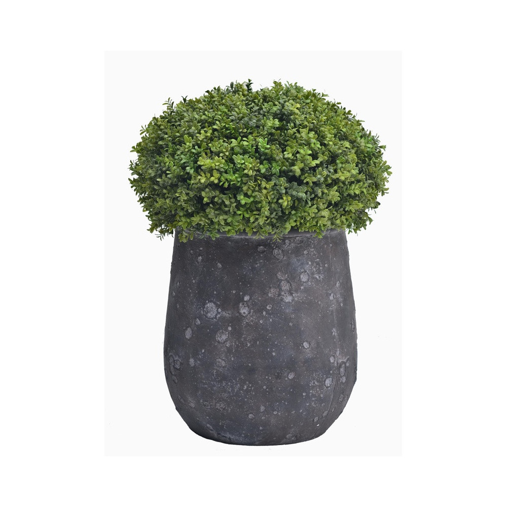 Tall Textured Cement Planter | Nifloral