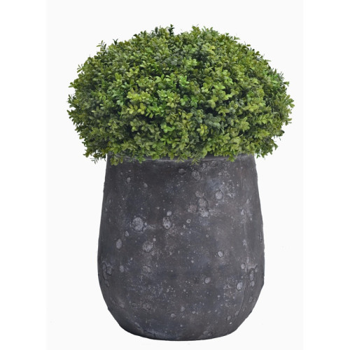 Tall Textured Cement Planter | Nifloral