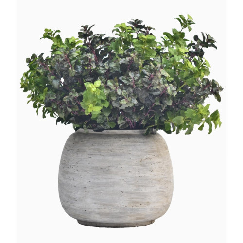 Rounded Cement Planter with Tapered Profile | Nifloral
