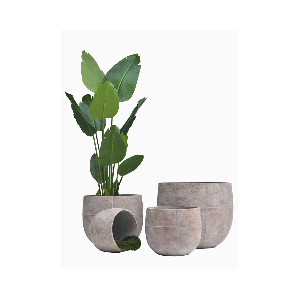 Rounded Cylindrical Cement Planter | Nifloral