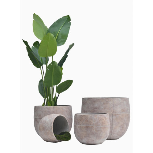 Rounded Cylindrical Cement Planter | Nifloral