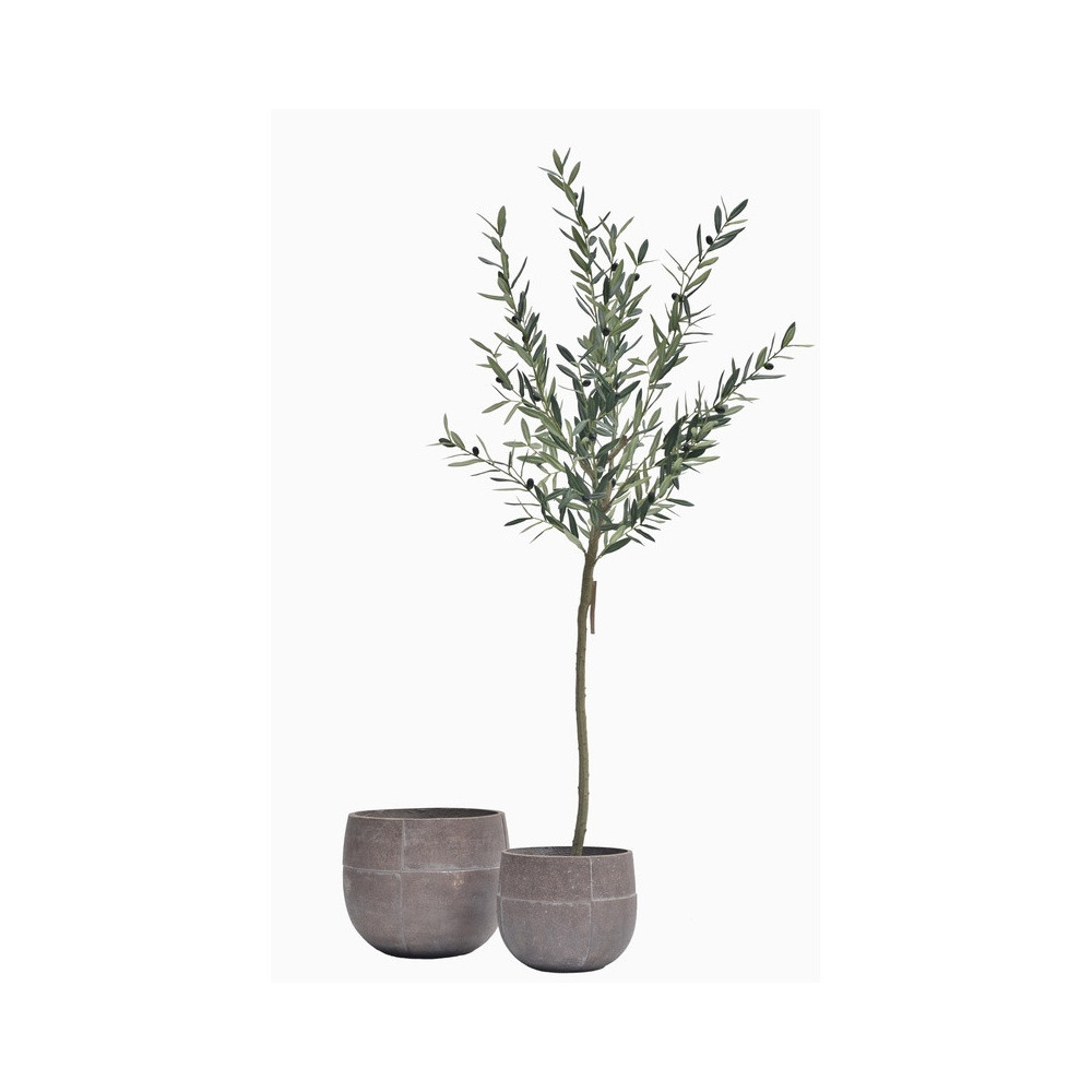 Circular Cement Planter | Nifloral