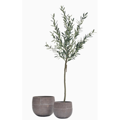 Circular Cement Planter | Nifloral