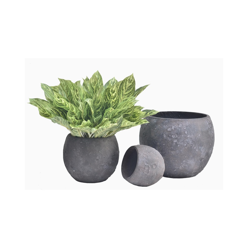 Rounded Dark Cement Planter | Nifloral