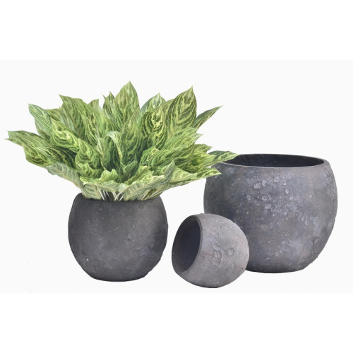Rounded Dark Cement Planter | Nifloral