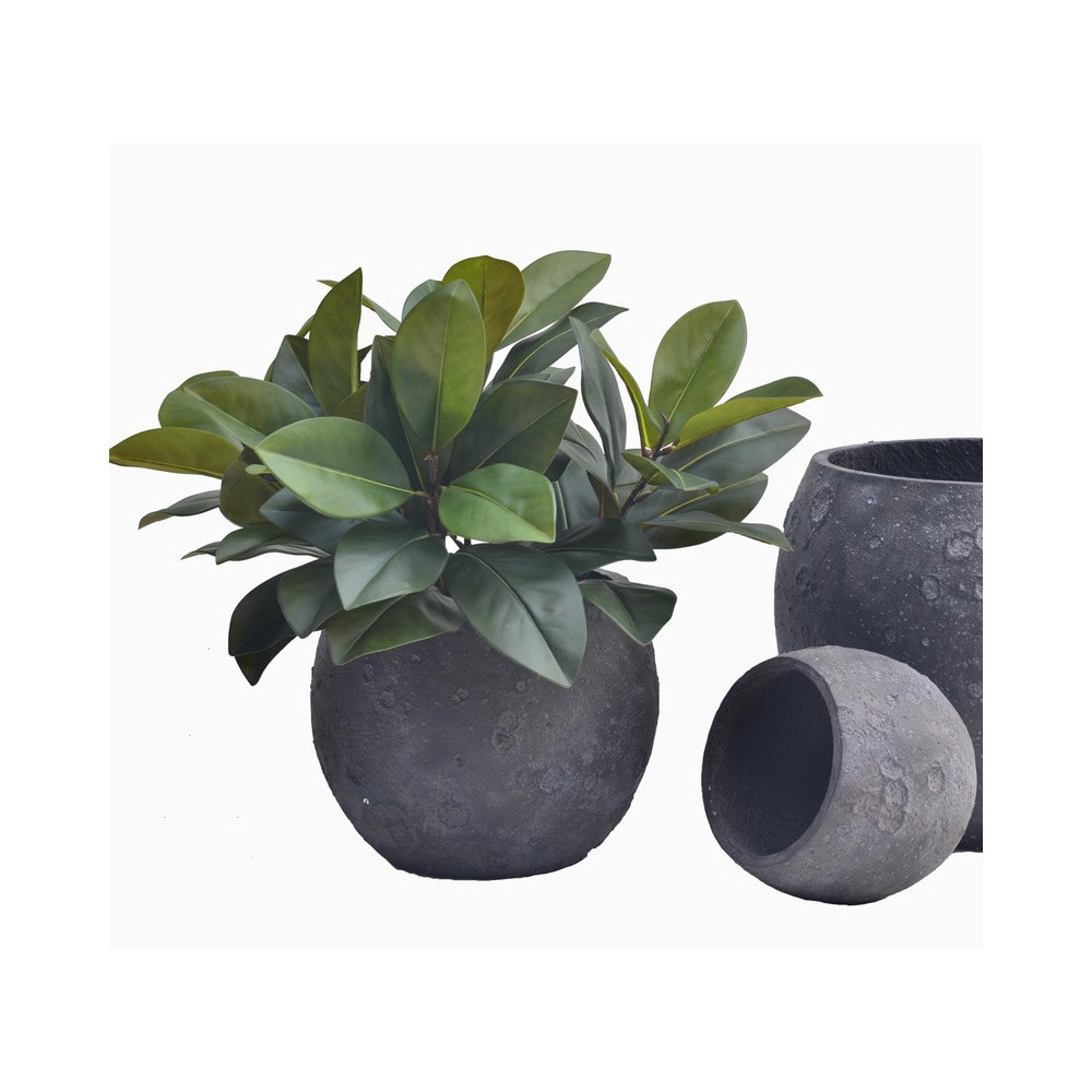Rounded Dark Cement Planter | Nifloral