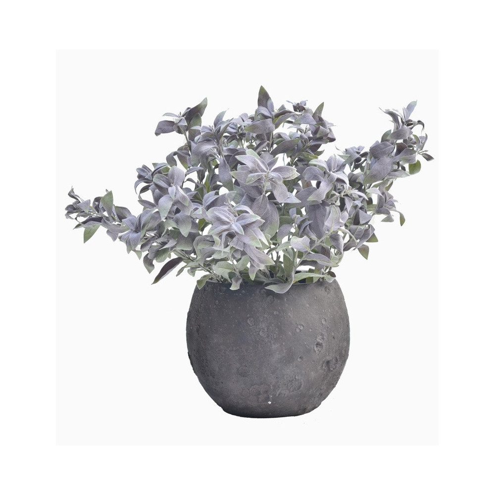 Rounded Dark Cement Planter | Nifloral