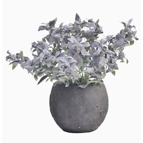Rounded Dark Cement Planter | Nifloral