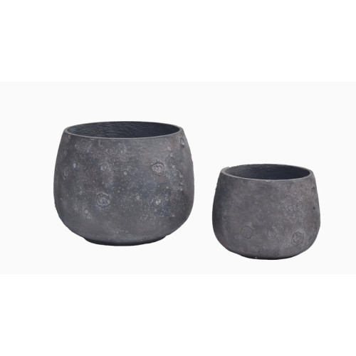 Wide Rounded Cement Planter | Nifloral