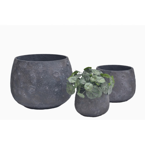 Wide Rounded Cement Planter | Nifloral