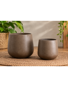 Pots